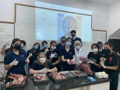 Secondary Math Teacher photo